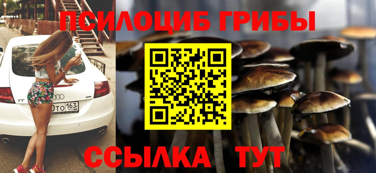 Галлюциногенные грибы прущие грибы Татарск
